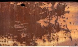 Photo Textures of Metal Rusty Paint